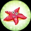 Star Fish